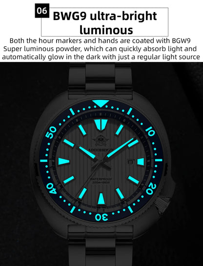 AD2507, la Plongée en Costume